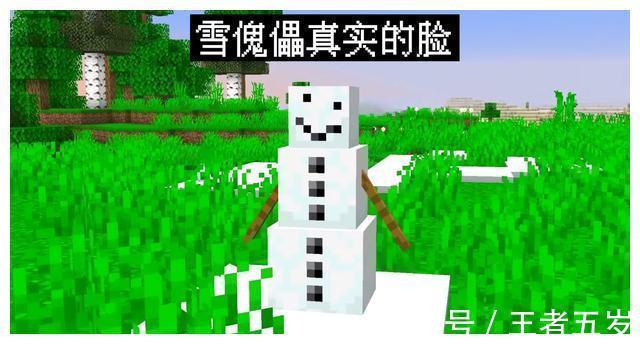 我的世界生成怪物指令 我的世界生成怪物指令