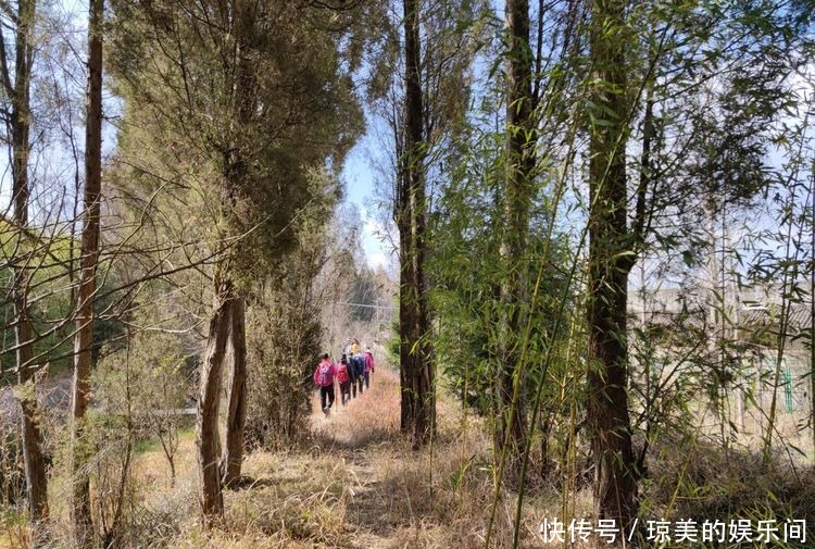 昆明走进自然户外｜乐走牧羊河上段，邂逅甸头村湿地，惊喜连连