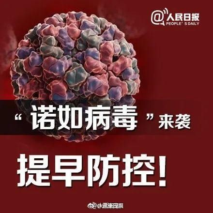 高发|孩子集体发生呕吐，南宁一幼儿园放假！这种病毒进入高发季