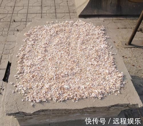 5种粉末效果惊人,老花匠都爱用,撒盆里不黄叶,狂开花!