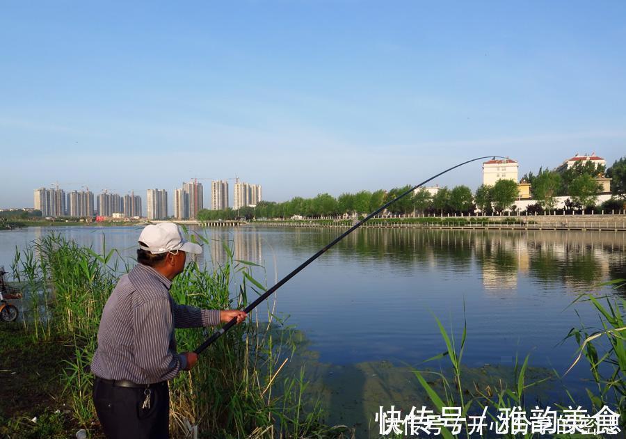钓椅|野钓时,钓椅、钓箱、马扎哪个更实用听听老钓友怎么说