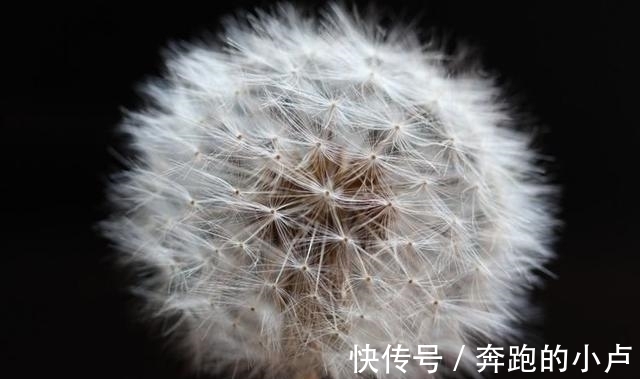 幸福|7月25号运势红火，生意兴隆，幸福到风调雨顺的三大生肖