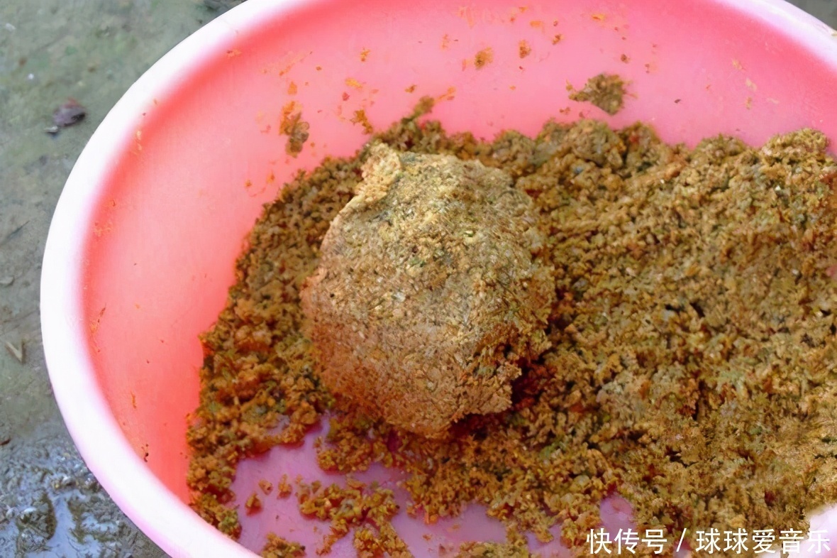 春钓不上鱼，除了温度变化无常，这五个误区，也功不可没