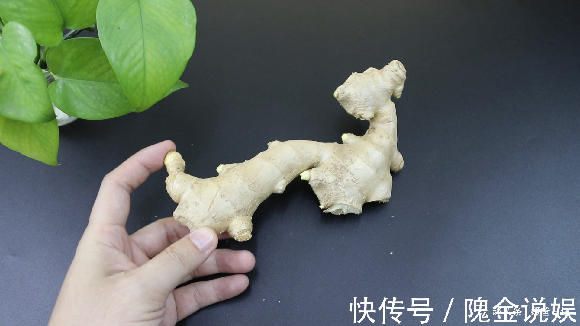 这样的生姜不能买，还好菜贩子告知，早知早受益