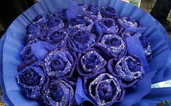 大家见过“蓝色妖姬玫瑰”吗花中新贵,妖艳迷人,颜值高寓意好