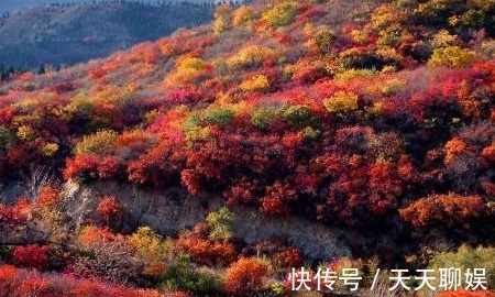 庐山|暑假结束啦，秋天还远吗？最适合秋游的6个地方，快收藏