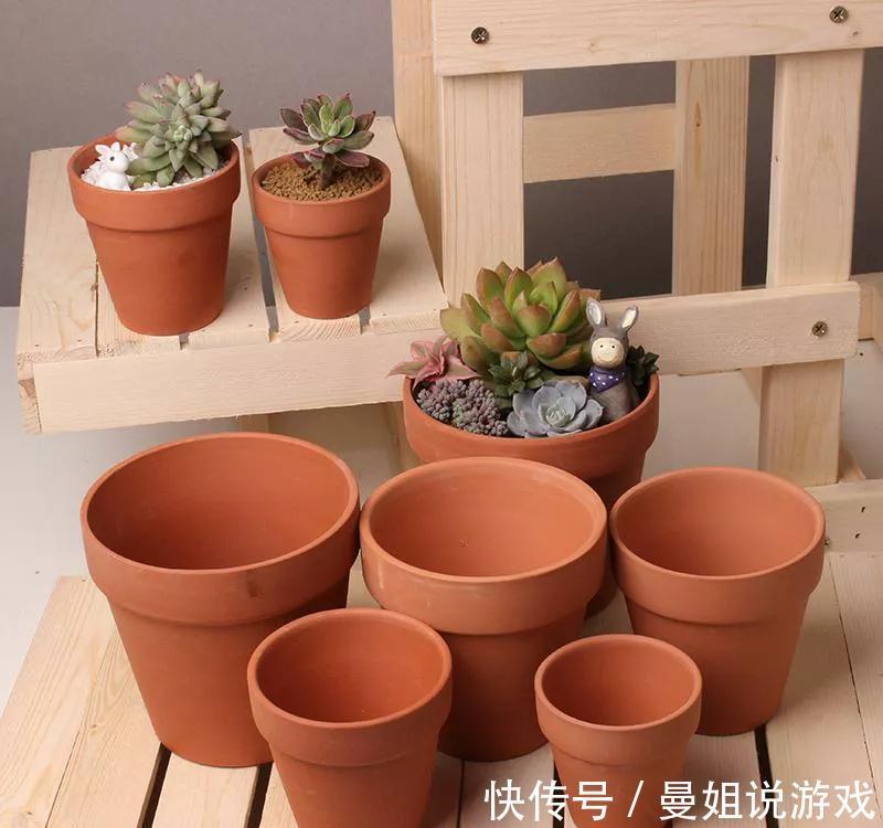 劣质花盆栽种花卉，再用心管理也白搭，几种花盆要慎选