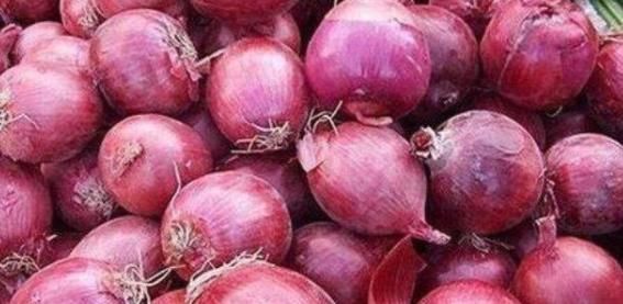 抗衰老、补气血，给中年人推荐4种食物，抗衰健脑，身体越来越好