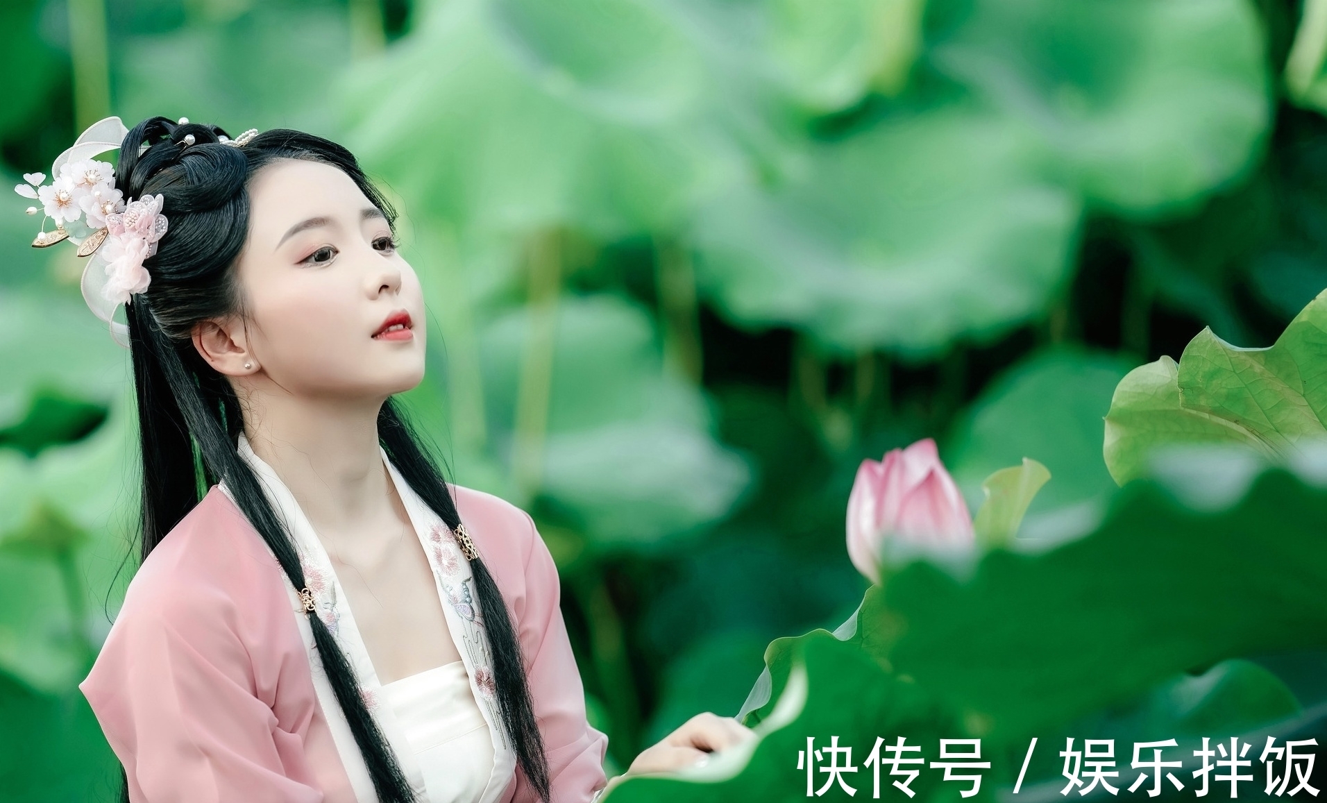 绝句|感怀·绝句与格律(十一首):只恐晚风摇寝帐,不堪夜雨浸芭蕉