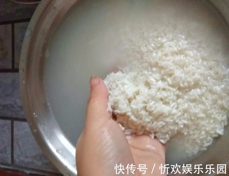 粽子|包粽子,糯米泡多久才能包多数人不懂,难怪下锅就漏米,还夹生