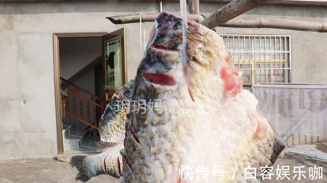 鱼肉|教你正宗腌腊鱼的方法,配料简单味道足,保存时间越长吃起来越香