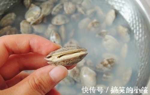 4g|炒花甲别再焯水了，只需1步，肉质鲜嫩无泥沙，香辣开胃超好吃