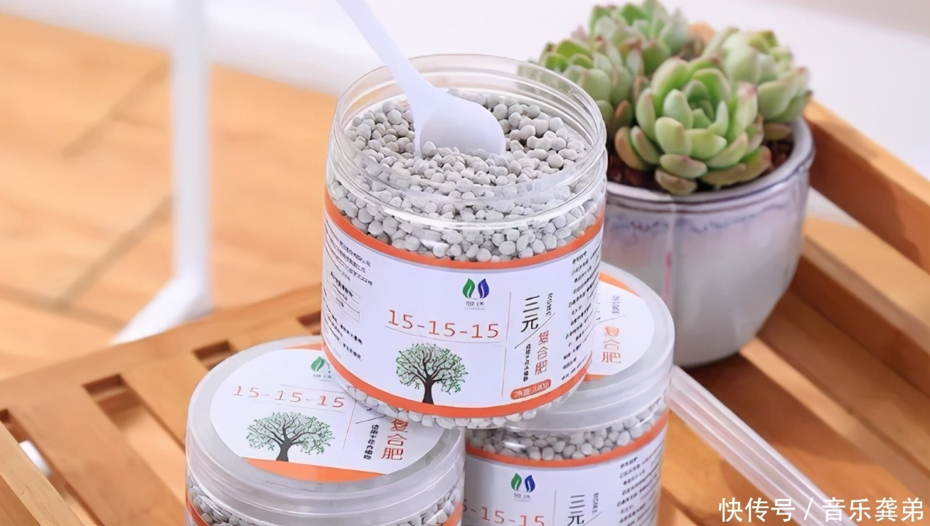 养花在这3个方面“不懂装懂”，将会吃大亏