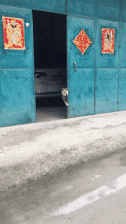 |搞笑GIF:我猜到了开始 但没想到是这样的结局