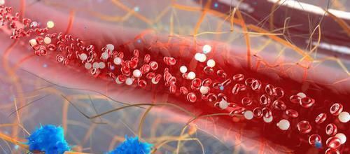 隔夜菜真的会致癌么？剩饭剩菜还能不能再吃？