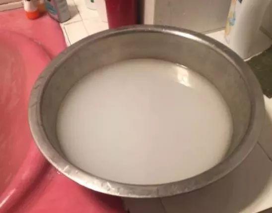 不换盆、不换土“搞定”花土板结,撒点粉喷点水,轻松解决难题