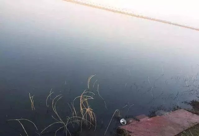 白纸黑字的爆护配方，秋季钓土鲫鱼不失手，老钓手的钓鱼秘笈