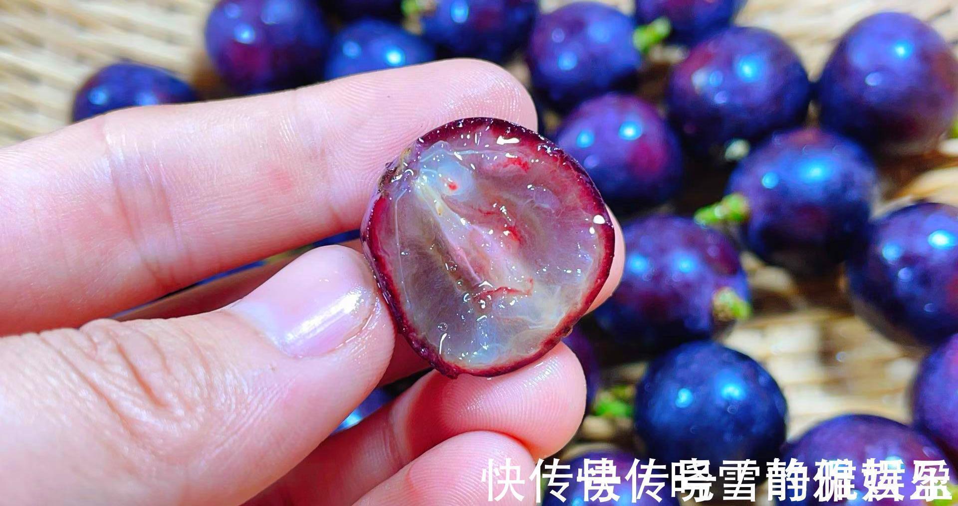 小苏打|千万别用盐水洗葡萄了!教您一妙招,虫卵自动溜走,连皮都可以吃
