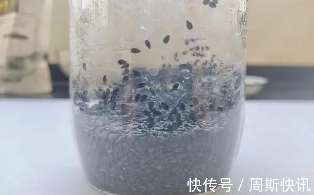 补钙|比牛奶更补钙的食材，做成馒头香软有嚼劲，孩子爱吃