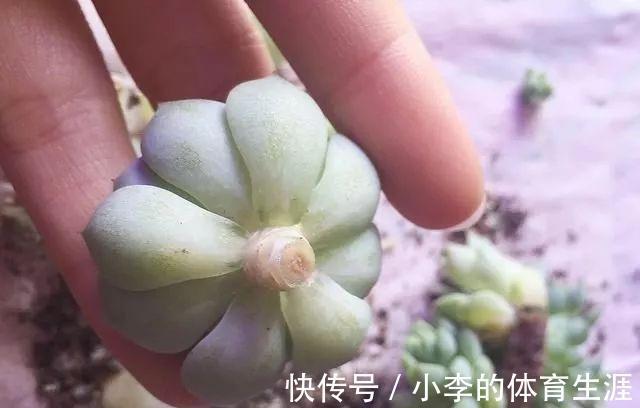 要想成为一名合格的肉友,你还需要知道这些黑话