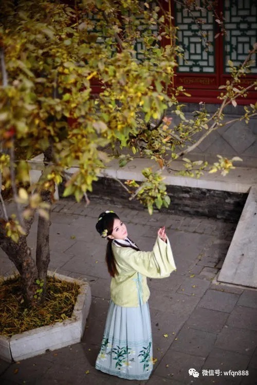 出家!为什么贾惜春会出家?你看看她朋友都是谁,作者其实早就埋下伏笔