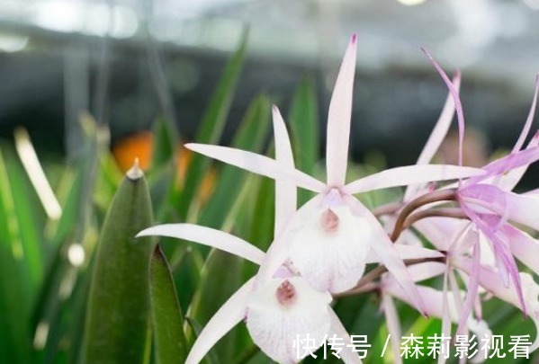 最亲的人#俗语:“人穷不思三人”,指的是哪三个人?可惜明白太晚