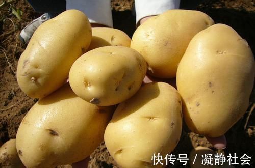 食物|会吃的人最健康,三种食物离不开,排毒清肠,延缓衰老,早吃早好