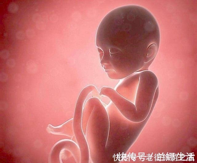 肚子|孕期上厕所时,准妈妈记住“三不要”,胎儿在肚子里会很舒服