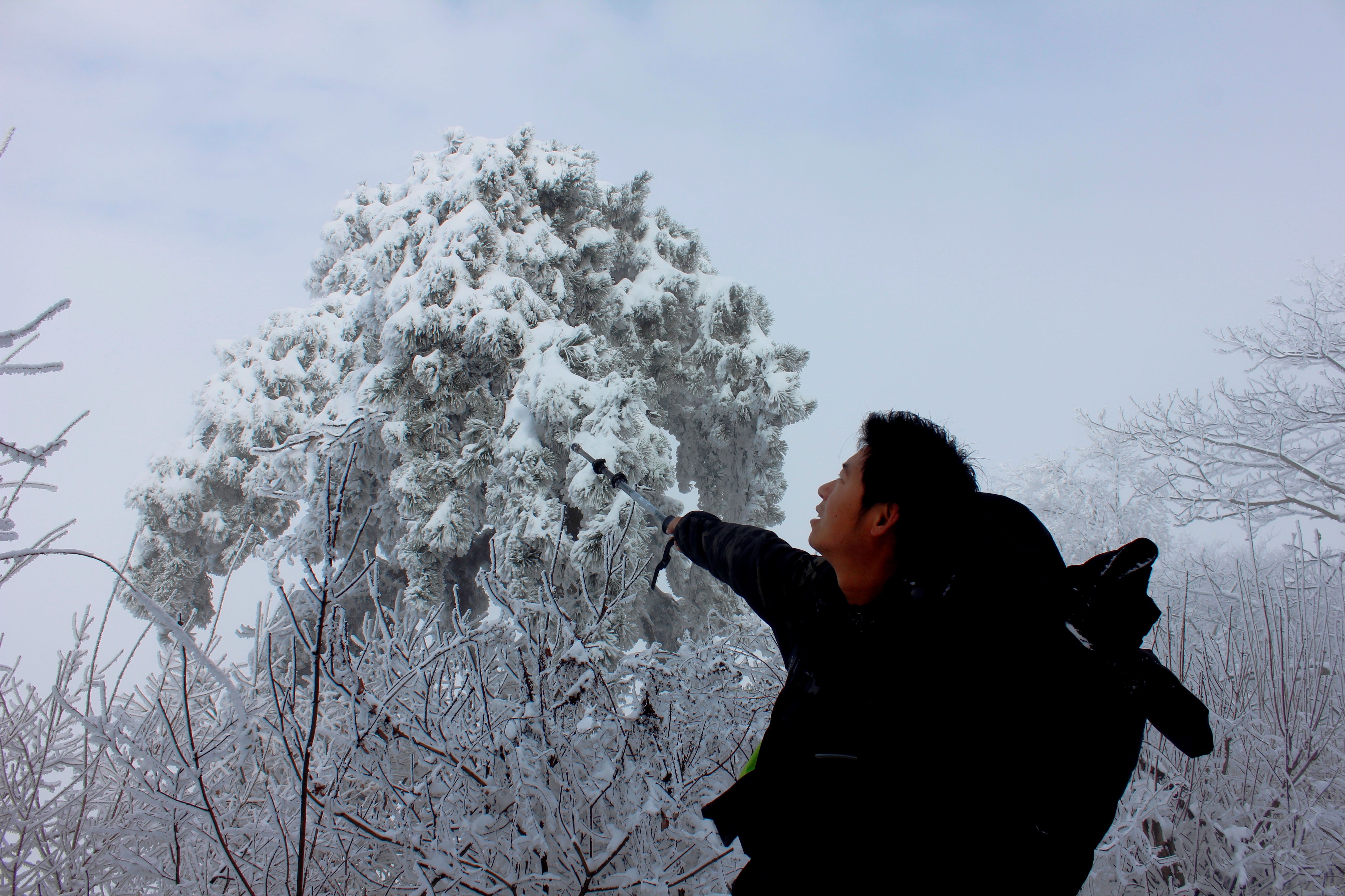 征集|【年末福利征集】雪后南五台幸遇云海