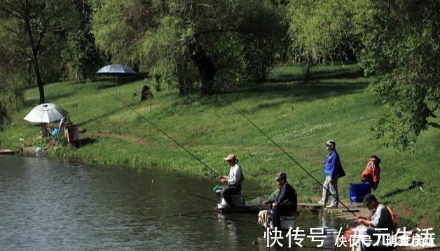 水草|秋分前后钓鱼，想爆护一点都不难，老钓手都爱这样钓，你也可以