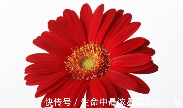 聪明的人|俗话说:病从口入祸从口出,尤其是这4句话,说了祸事不断!