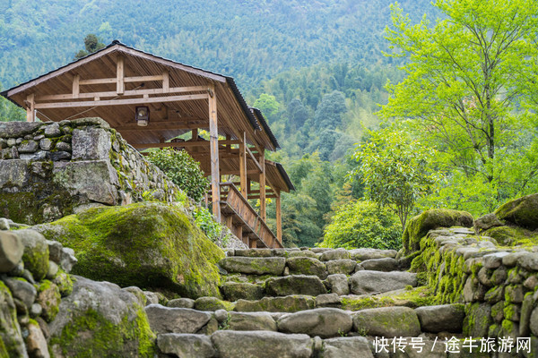 不负人间四月天，与明月山来一次春日有约