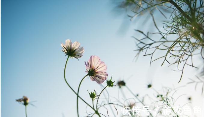 结肠癌|害怕得大肠癌症，这八种高危人群一定要查下肠镜