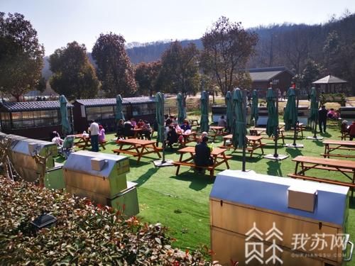 就地过年带火乡村游：景点人气旺 防疫不放松