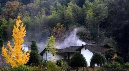 研究|北大教授在研究什么研究成果让人想不到,网友又一个经典语录