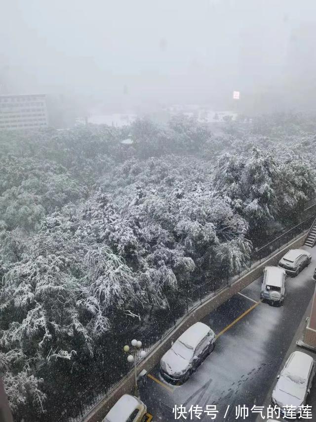 雪景|惊艳！平凉迎来入秋第一场雪，刷爆朋友圈！