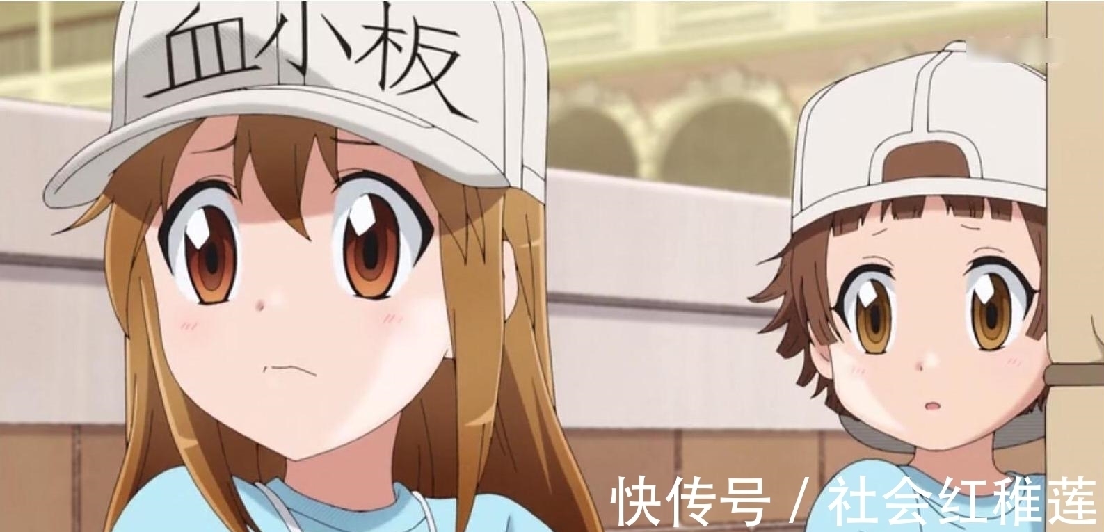 工作细胞|2021年最受欢迎动漫公开,《咒术回战》第3名,第1名实至名归