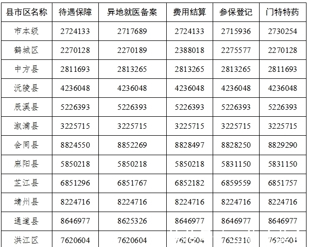 芷江医疗服务：在健康守护之路上不断前行