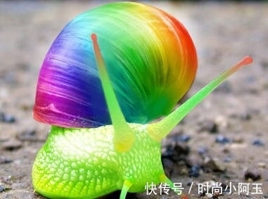 香口胶|12个有趣得到验证的冷知识