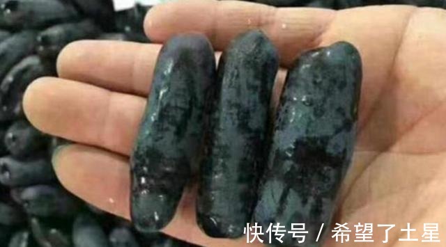 香味|院子里种点果树试试吧,寓意好,果肉软糯奶香味,甜而不腻!