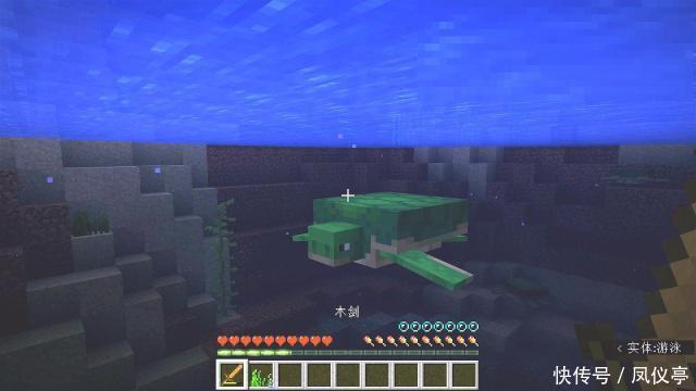 生物|我的世界:混的最惨的生物,海龟第一?老玩家:是他!