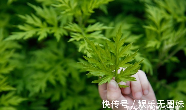 寒毒|寒毒凝于筋,影响到气血运行,3个方法,把身体内的寒毒排出去