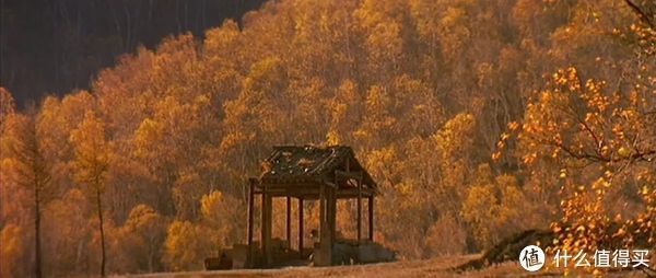 我的父亲母亲|移动画面 篇五十九:让这些秋天的影视,带你领略秋天的多彩