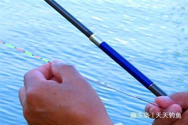 带饵|带饵调漂的优势,这种调漂方法公认最科学,肯定是有道理的