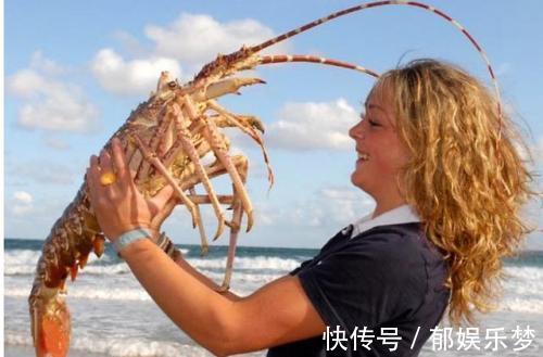干锅大虾|虾不能随便吃,今天才知道,有7类人不能吃