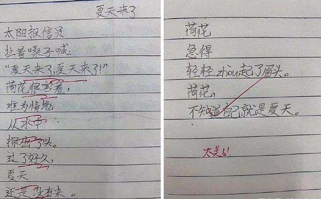 小学生|8岁小学生“100分诗歌”火了,老师也自愧不如,网友:当代徐志摩