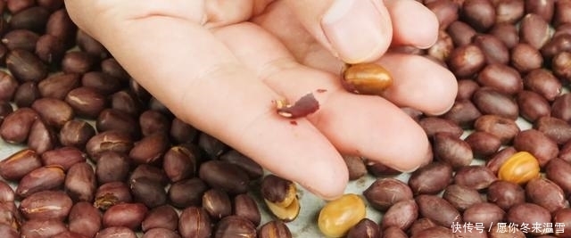 过年必备零食芝麻花生糖做法,无水无油无添加,做法简单超酥香