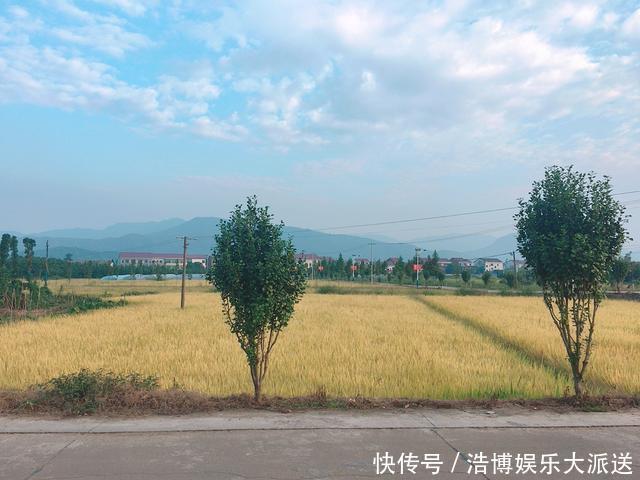 深秋時(shí)節(jié)，要多吃“地下5寶”，既是菜還是主食，應(yīng)季而食營(yíng)養(yǎng)好