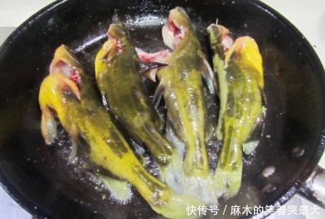 肥美|秋季最肥美的鱼,高钙高蛋白,铁比草鱼高5倍,肉嫩刺少吃着鲜