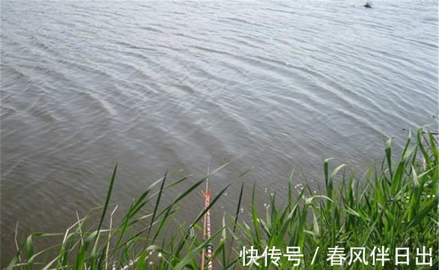 太阳红|盛夏应该如何钓鱼?几句钓鱼谚语就可以概括,别说钓无定律
